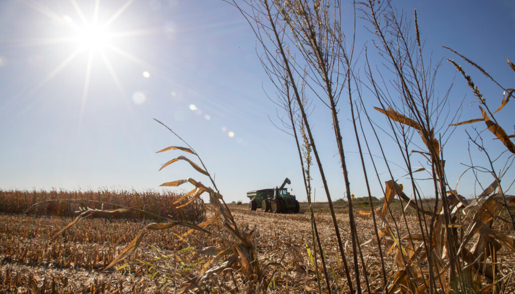 2021 harvest Iowa