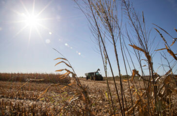 2021 harvest Iowa