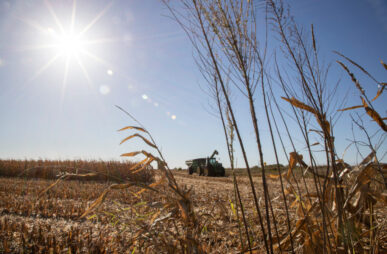 2021 harvest Iowa