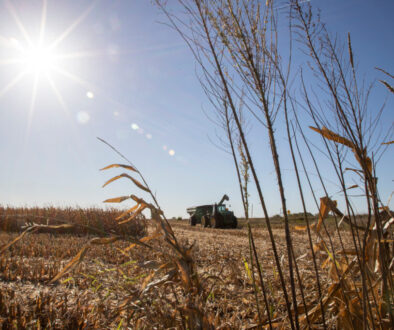 2021 harvest Iowa