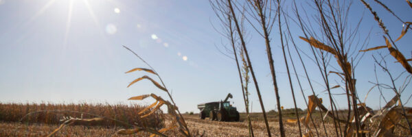 2021 harvest Iowa 2021 harvest Iowa
