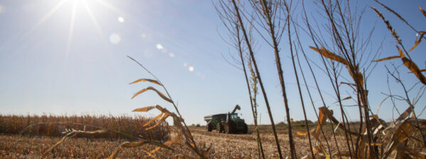 2021 harvest Iowa 2021 harvest Iowa