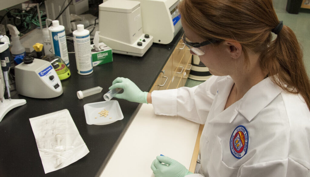 FDA researcher Dr. Sara Handy pours pine nuts into a container for examination.