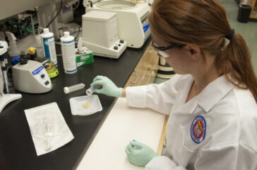 FDA researcher Dr. Sara Handy pours pine nuts into a container for examination.