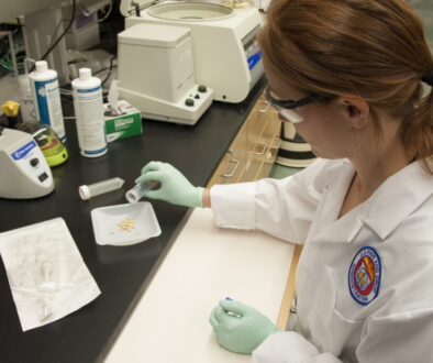 FDA researcher Dr. Sara Handy pours pine nuts into a container for examination.