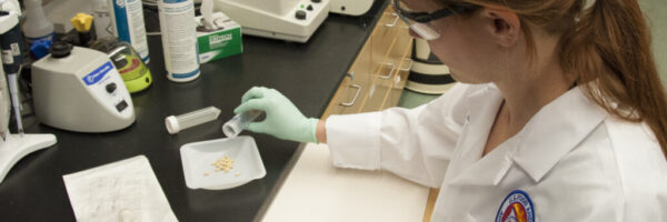 8754828935_bee2ffcd52_k FDA researcher Dr. Sara Handy pours pine nuts into a container for examination.