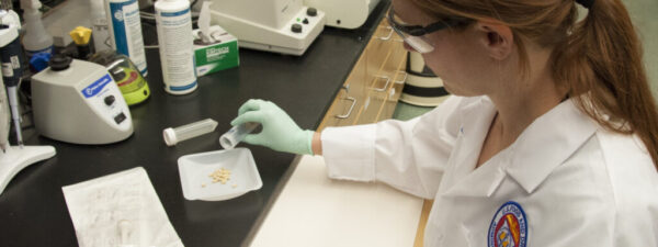 8754828935_bee2ffcd52_k FDA researcher Dr. Sara Handy pours pine nuts into a container for examination.