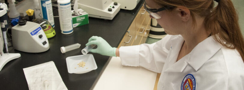 8754828935_bee2ffcd52_k FDA researcher Dr. Sara Handy pours pine nuts into a container for examination.
