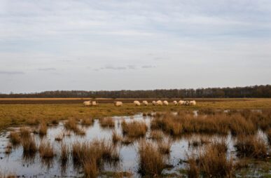 joris-van-der-zalm--8KTbS7pdnk-unsplash