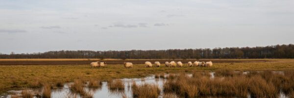 joris-van-der-zalm--8KTbS7pdnk-unsplash