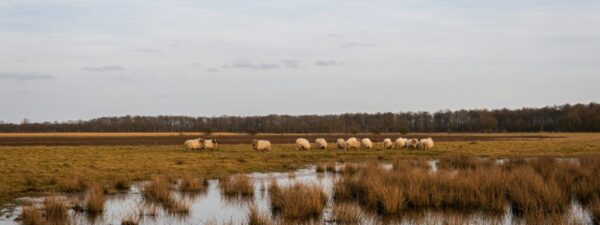 joris-van-der-zalm--8KTbS7pdnk-unsplash