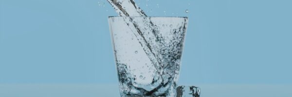 zyanya-citlalli-9RCTAe0Lf0w-unsplash (1)