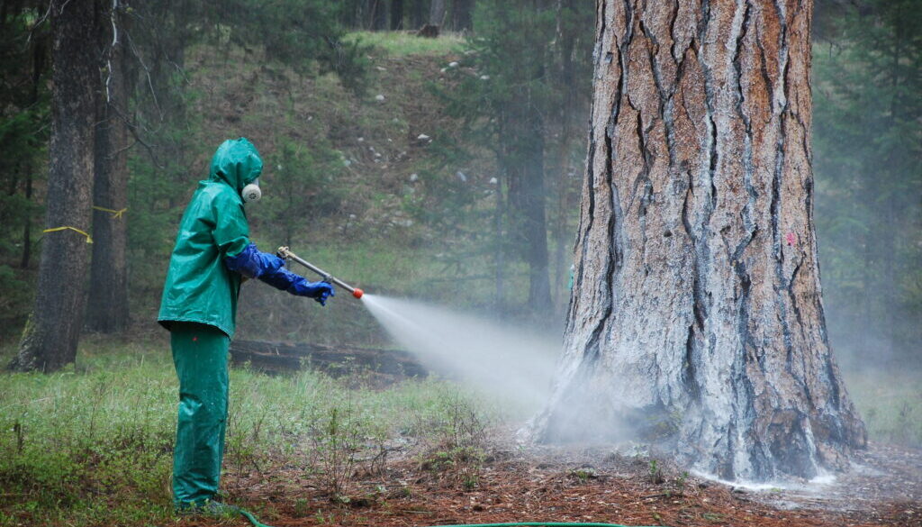 US Forest Service Employee spraying carbaryl in Oregon