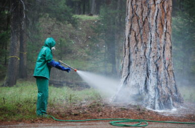 US Forest Service Employee spraying carbaryl in Oregon