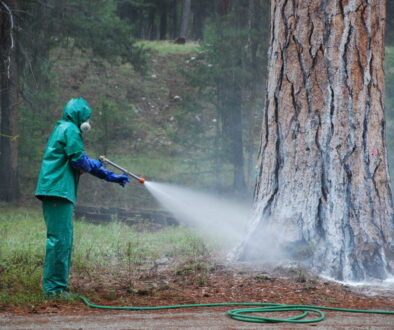 US Forest Service Employee spraying carbaryl in Oregon