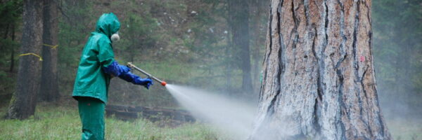 6882724971_93be9ac583_k (1) US Forest Service Employee spraying carbaryl in Oregon