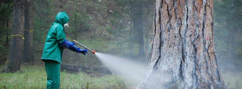 6882724971_93be9ac583_k (1) US Forest Service Employee spraying carbaryl in Oregon