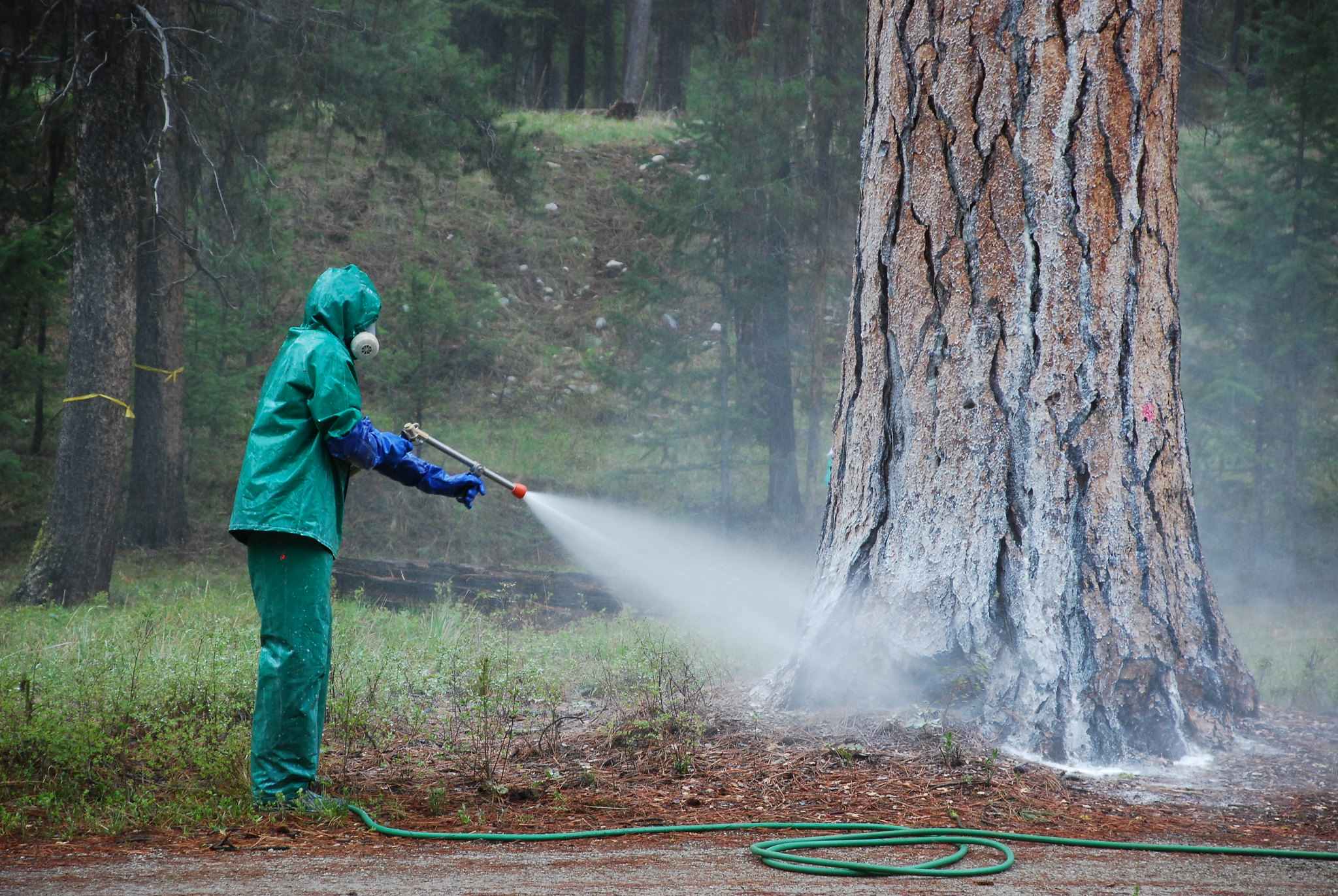 Cancer risk doubles for Iowa, NC pesticide applicators who used carbaryl, study finds