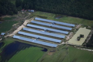 CAFOs in North Carolina
