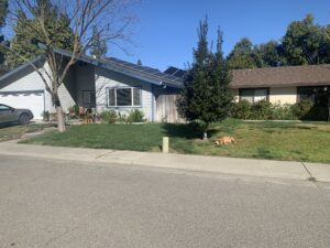 Greg Sparks California rooftop solar