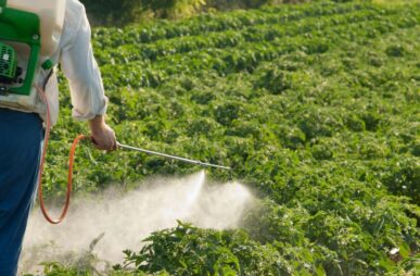 getty-images-GTIPJRsLh_Q-unsplash pesticide spraying