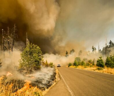 marcus-kauffman--iretlQZEU4-unsplash Oregon wildfire