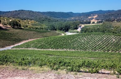 linda-pomerantz-zhang--t30E6T9DAU-unsplash