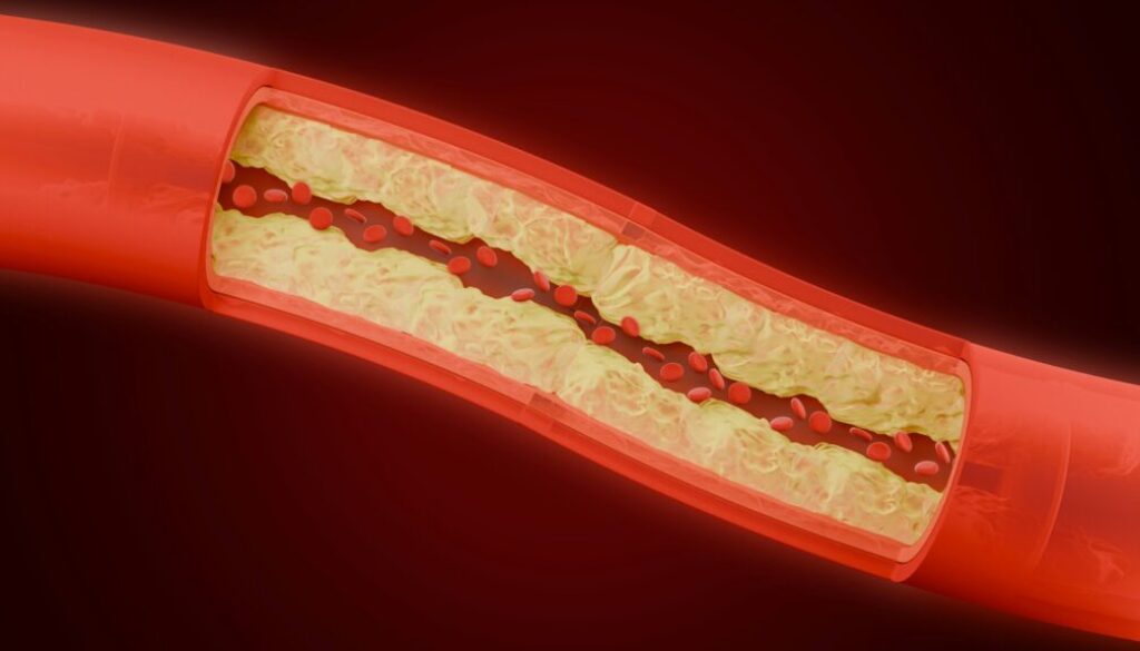 zyanya-citlalli-OJKTTzFhcfM-unsplash