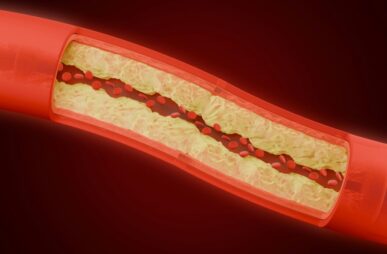 zyanya-citlalli-OJKTTzFhcfM-unsplash