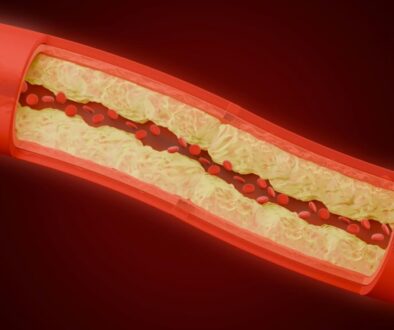 zyanya-citlalli-OJKTTzFhcfM-unsplash