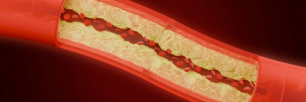 zyanya-citlalli-OJKTTzFhcfM-unsplash