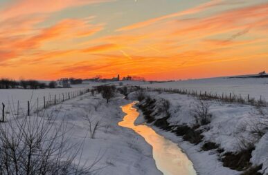 cheryl-graham-MqjLAeuyUM0-unsplash