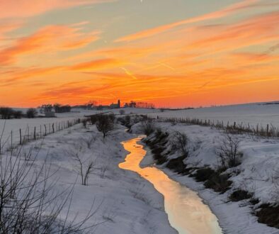 cheryl-graham-MqjLAeuyUM0-unsplash