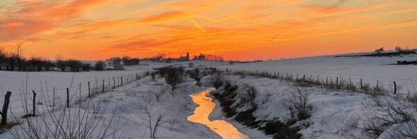 cheryl-graham-MqjLAeuyUM0-unsplash