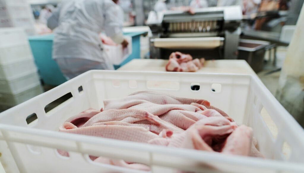 getty-images-0_Yb4WTfiiE-unsplash