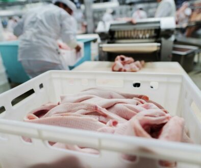 getty-images-0_Yb4WTfiiE-unsplash