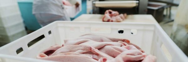 getty-images-0_Yb4WTfiiE-unsplash