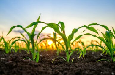 getty-images-m6xWSjiQaww-unsplash