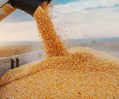 getty-images-w3TIgh3zpLI-unsplash