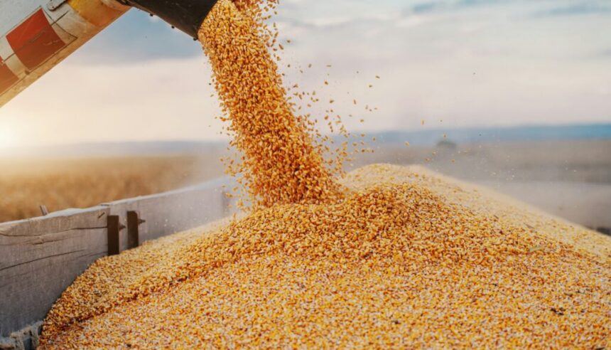 getty-images-w3TIgh3zpLI-unsplash