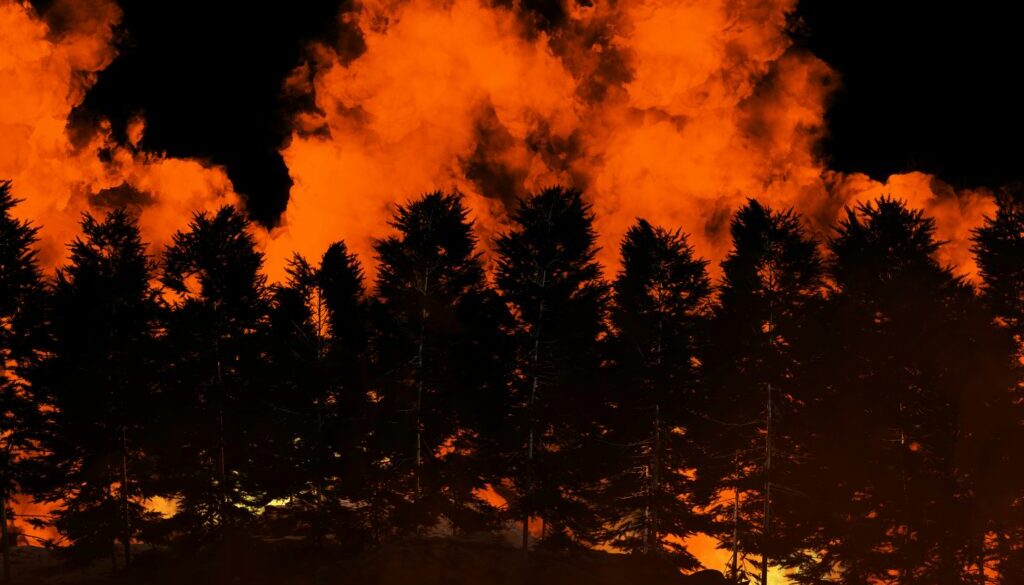 imkara-visual-UVXNa2ORM5c-unsplash