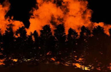 imkara-visual-UVXNa2ORM5c-unsplash