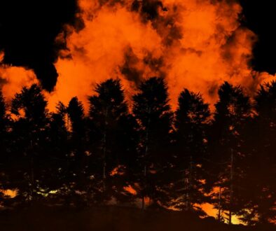 imkara-visual-UVXNa2ORM5c-unsplash