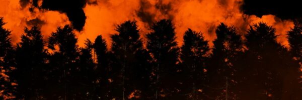 imkara-visual-UVXNa2ORM5c-unsplash