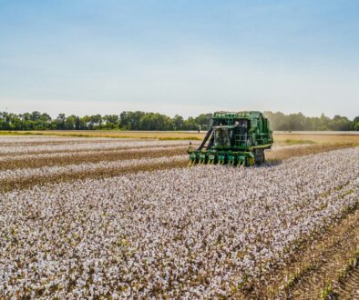 karl-wiggers-48B_V-jTgkE-unsplash