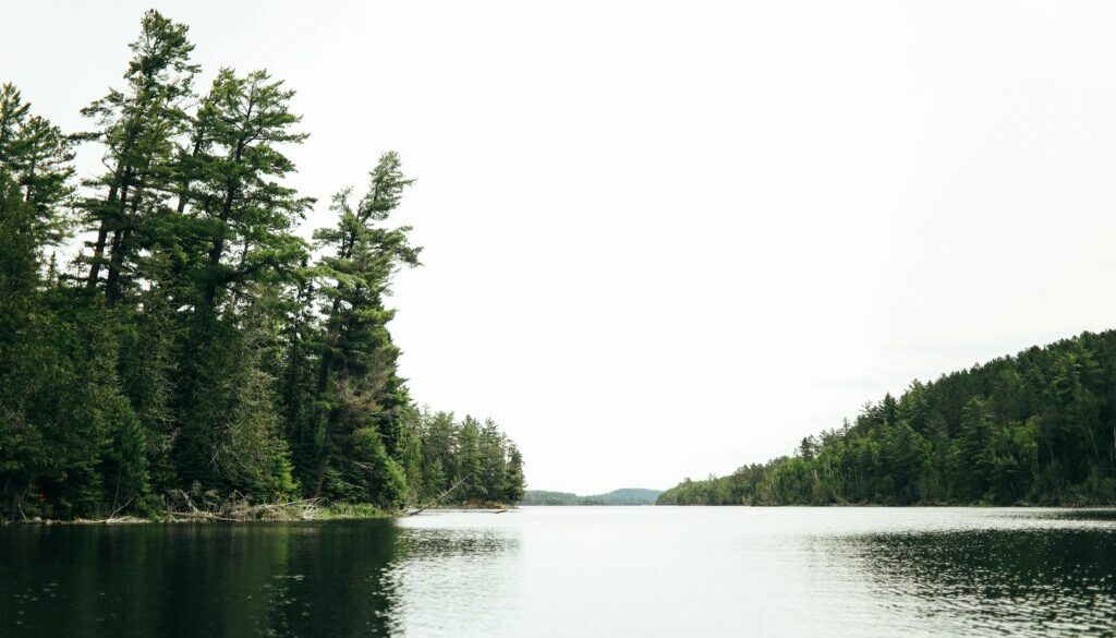 lee-vue-Jbb6-tbJZSM-unsplash