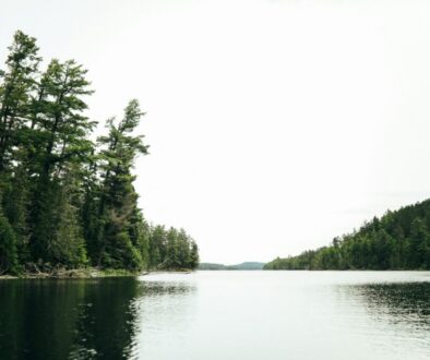 lee-vue-Jbb6-tbJZSM-unsplash