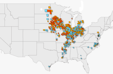 Screenshot 2026-03-13 154525