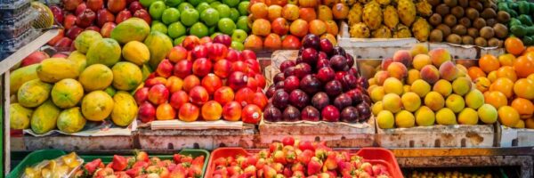 alexander-schimmeck-2zJhA9RSkys-unsplash