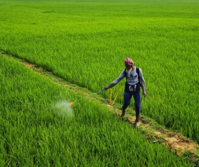 dibakar-roy--8-qIgNi67A-unsplash